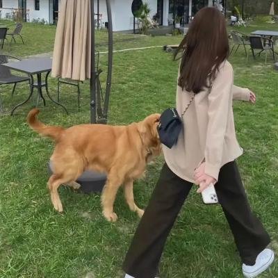 冲吧!我的庞克青春